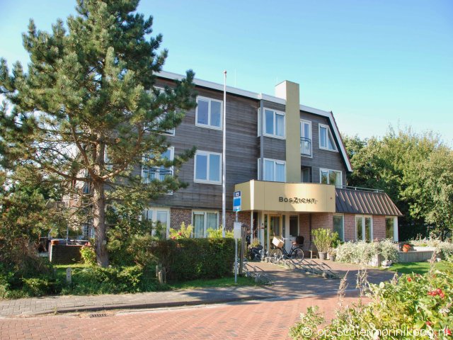 Eik (5) in Boszicht Eik (5) in Boszicht